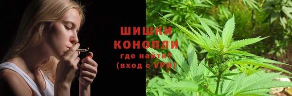 дживик Кадников