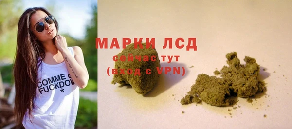дмт Осинники