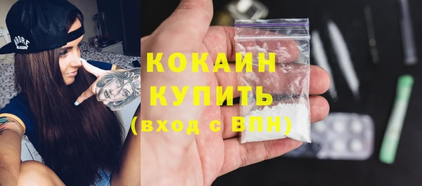 дживик Кадников