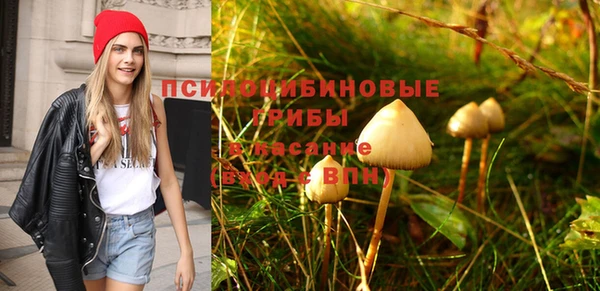 PSILOCYBIN Осташков