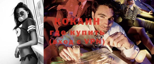дживик Кадников