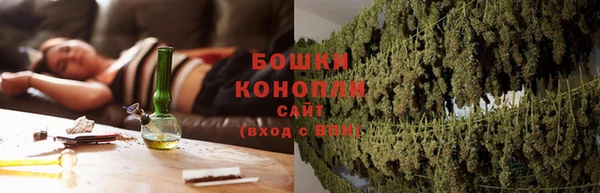 PSILOCYBIN Осташков