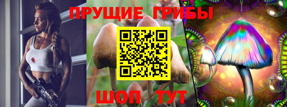 Галлюциногенные грибы прущие грибы  Вход с VPN  Псилоцибиновые грибы MAGIC MUSHROOMS  закладки  Кушва 